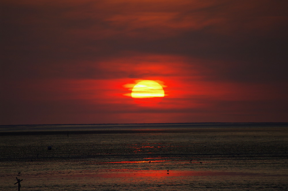 Sonnenuntergang bei Friedrichskoog