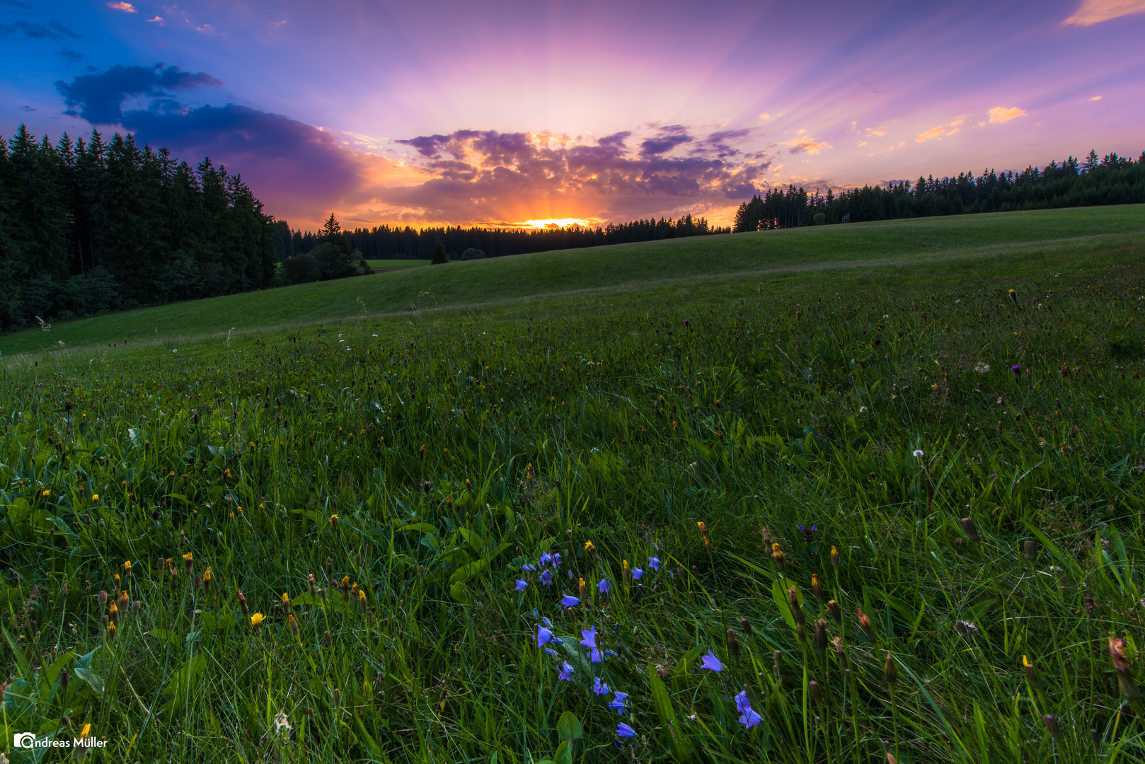 Sonnenuntergang bei Furtwangen 