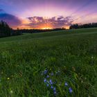 Sonnenuntergang bei Furtwangen 