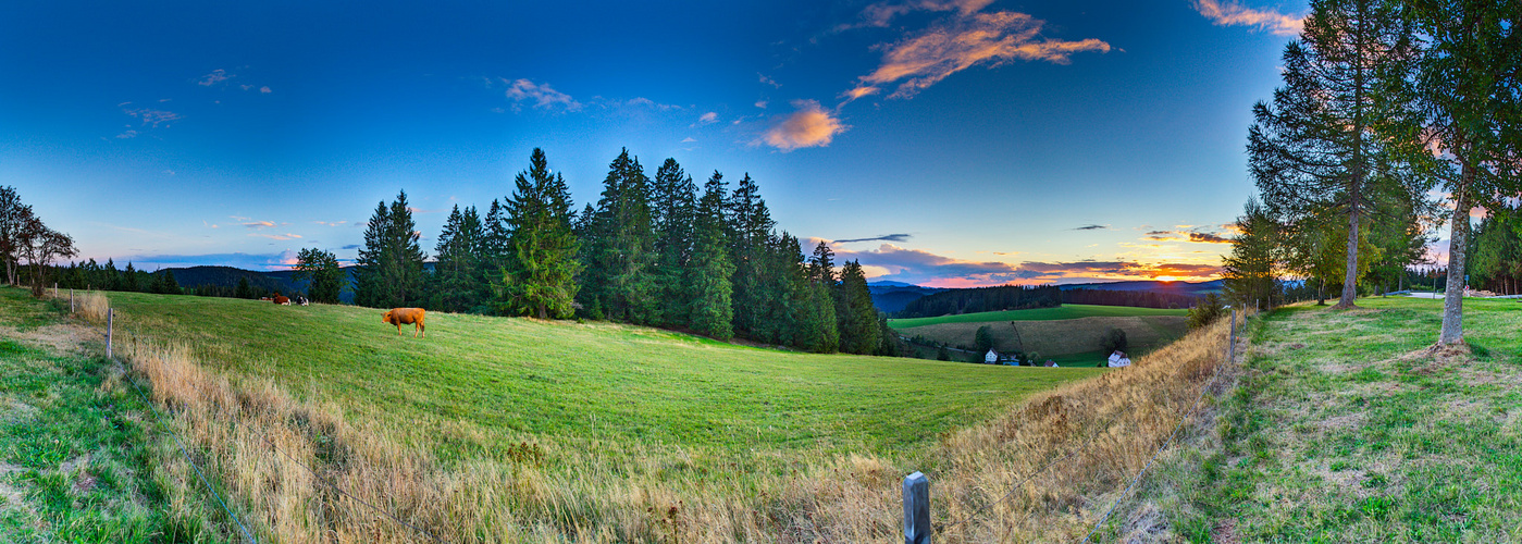 Sonnenuntergang bei Furtwangen im Schwarzwald (Panorama)