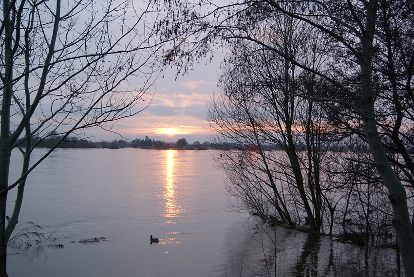 Sonnenuntergang bei Geesthacht/Elbe Bild 1