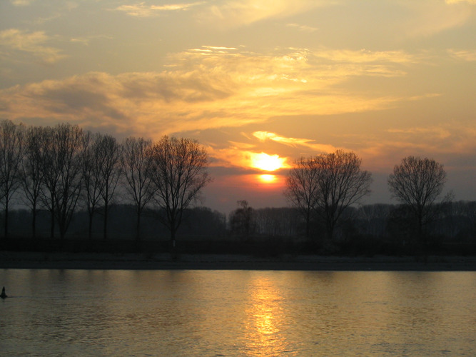 Sonnenuntergang bei Gernsheim am Rhein