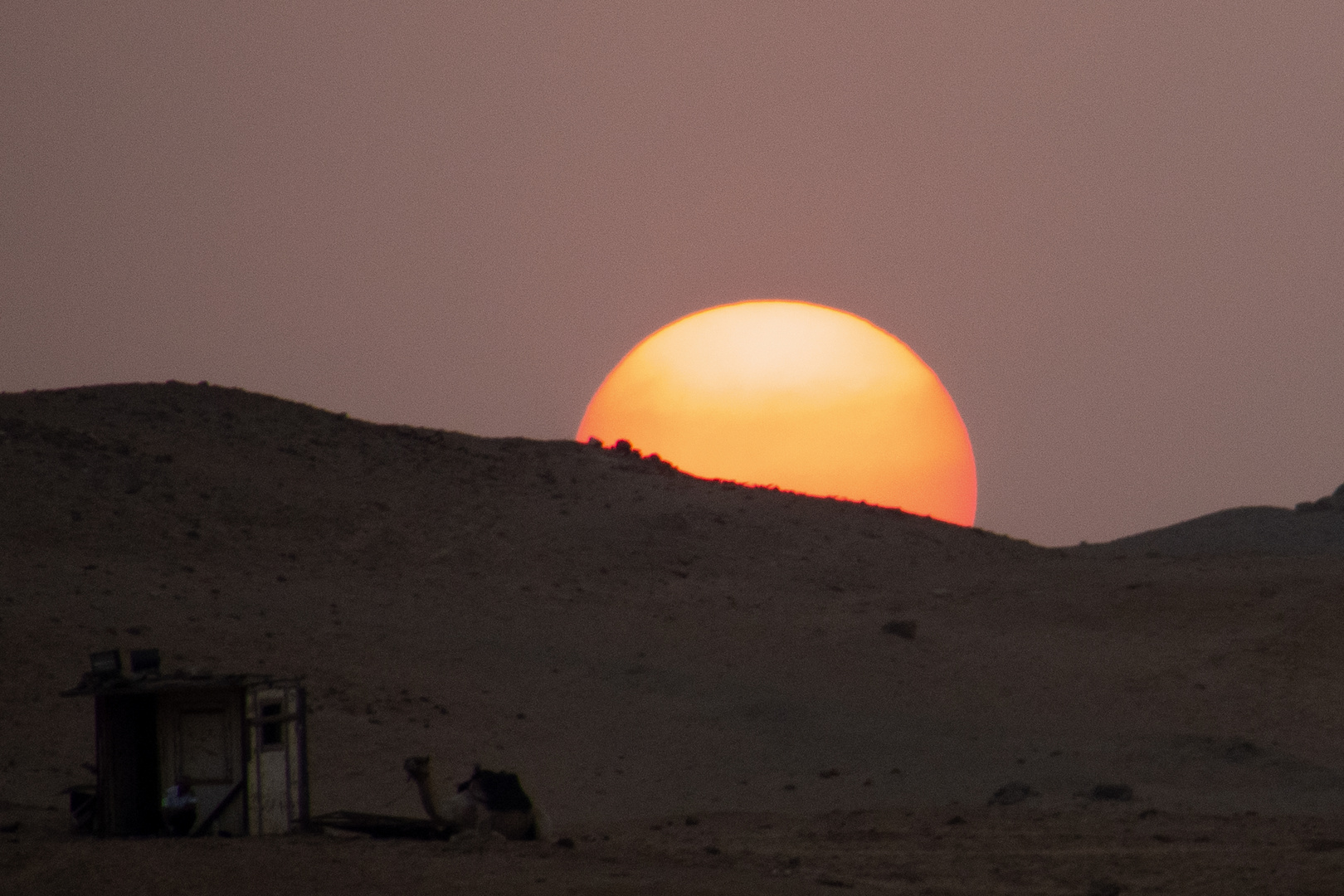 Sonnenuntergang bei Giseh