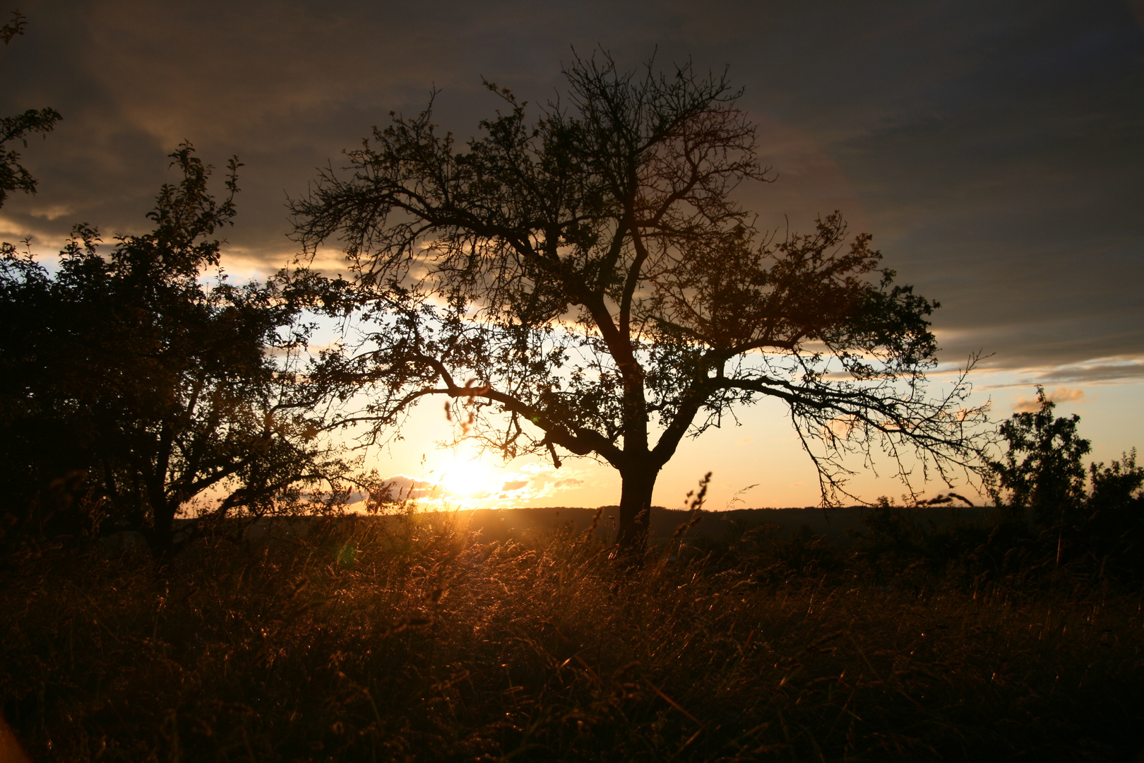 Sonnenuntergang bei Gomaringen