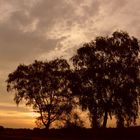 Sonnenuntergang bei Hannover