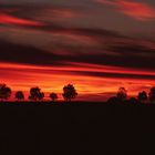 Sonnenuntergang bei Klecken