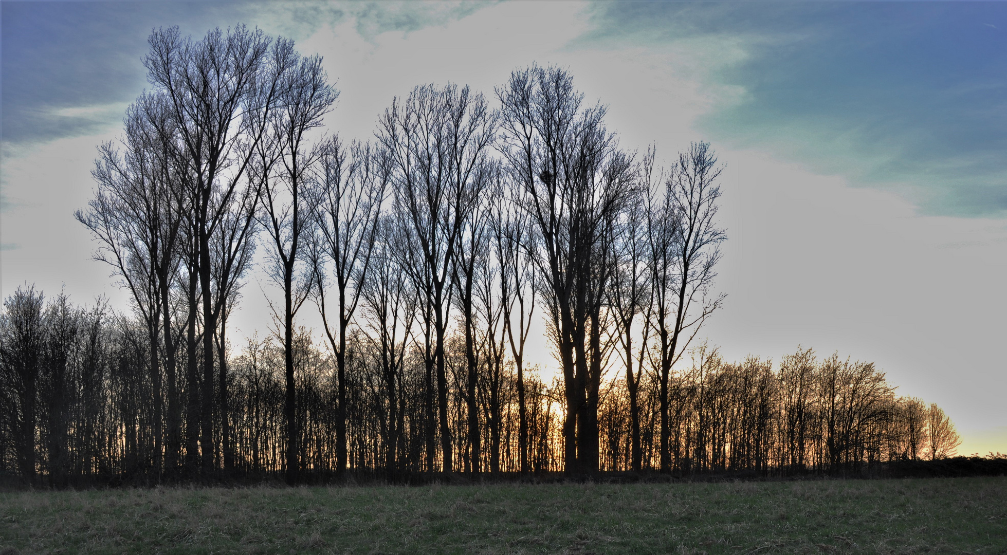 Sonnenuntergang bei Köln-Langel