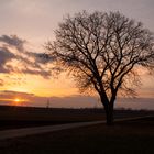 Sonnenuntergang bei Laa an der Thaya