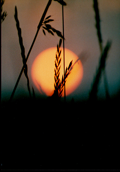 Sonnenuntergang bei Landshut