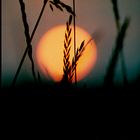 Sonnenuntergang bei Landshut