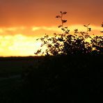 Sonnenuntergang bei Lonsee