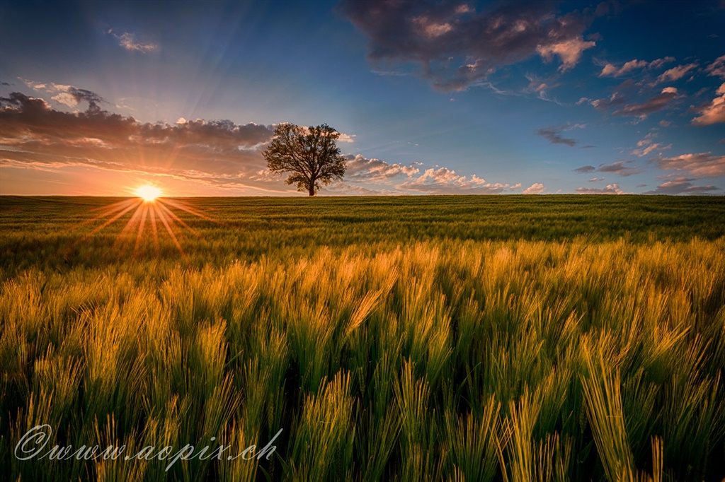 Sonnenuntergang bei Lustorf