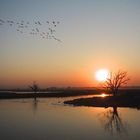 Sonnenuntergang bei Mandalay- Zentralburma