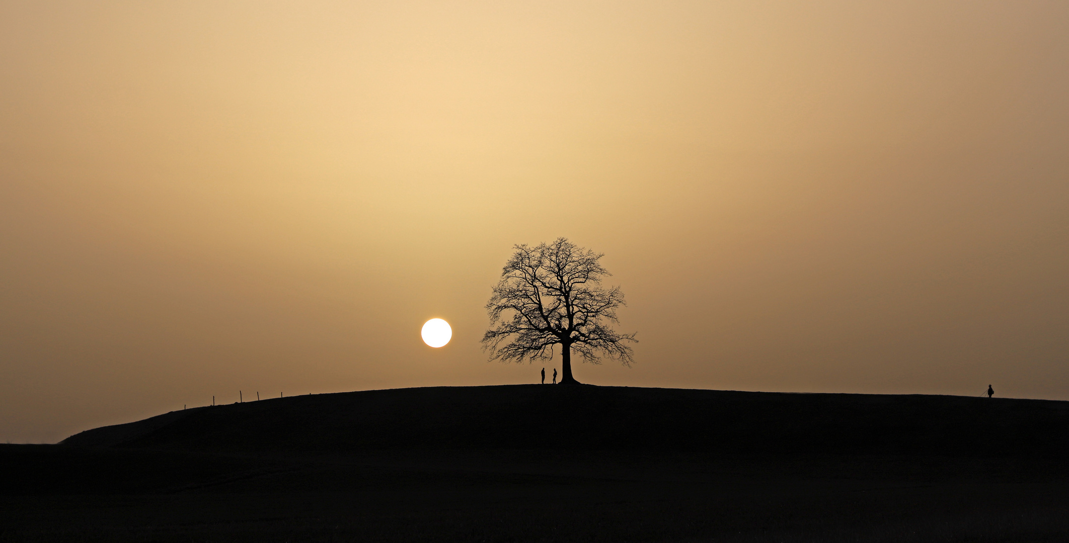 Sonnenuntergang bei meinem Lieblingsbaum