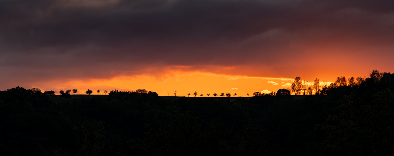 Sonnenuntergang bei Meißen 