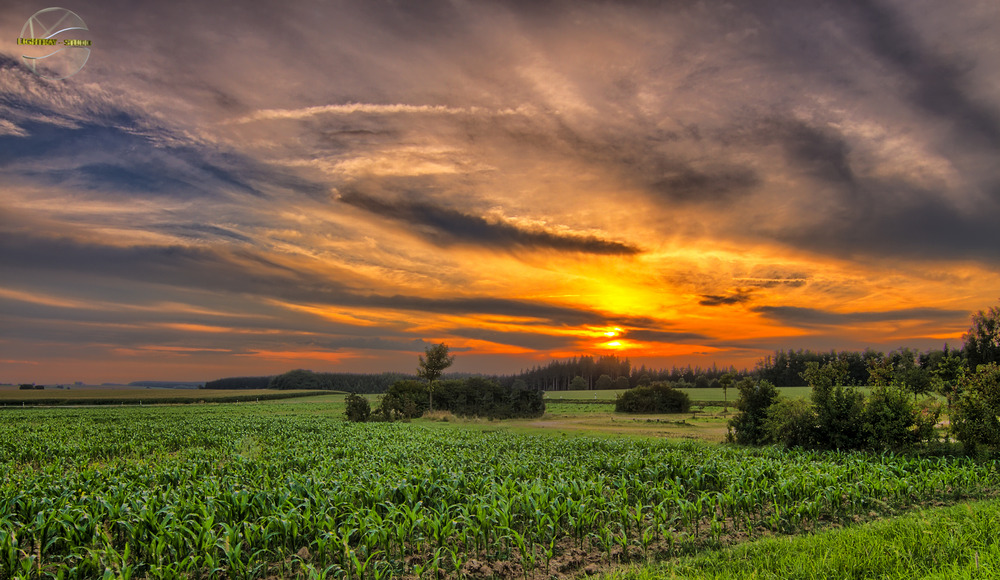 Sonnenuntergang bei Mengen in Oberschwaben