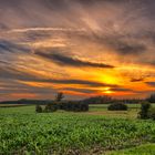 Sonnenuntergang bei Mengen in Oberschwaben