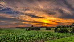 Sonnenuntergang bei Mengen in Oberschwaben