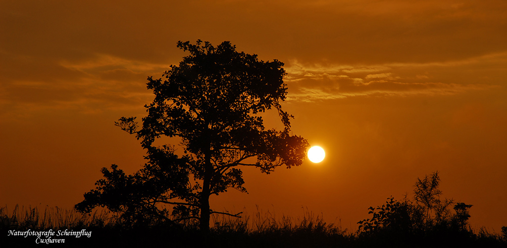 Sonnenuntergang bei Mistelbach/Niederösterreich