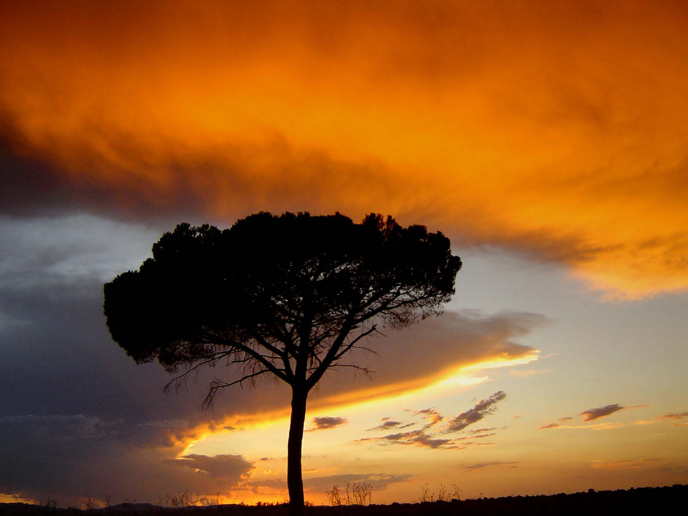 Sonnenuntergang bei Montepulciano