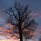 Sonnenuntergang bei Mühldorf