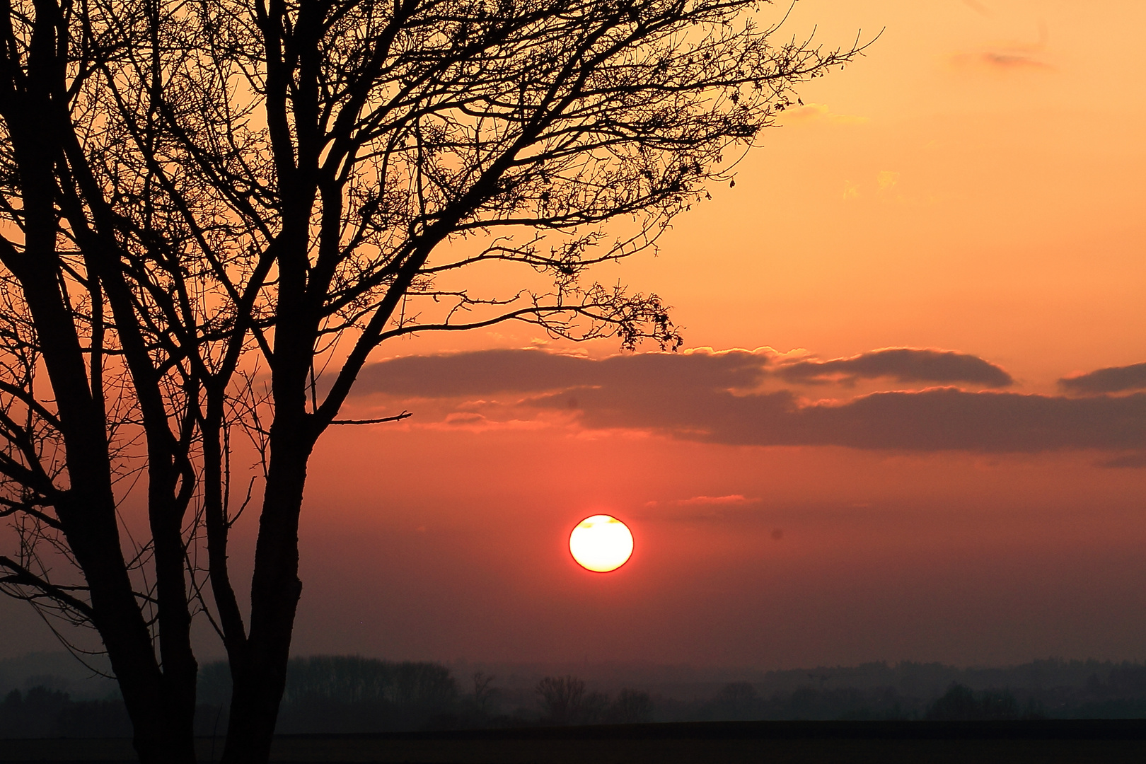 Sonnenuntergang bei Nebel