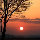 Sonnenuntergang bei Nebel