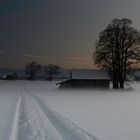 Sonnenuntergang bei Nebel