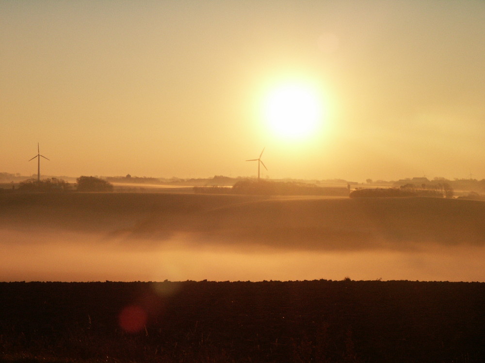 Sonnenuntergang bei Nebel