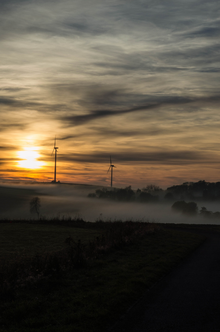 Sonnenuntergang bei Nebel