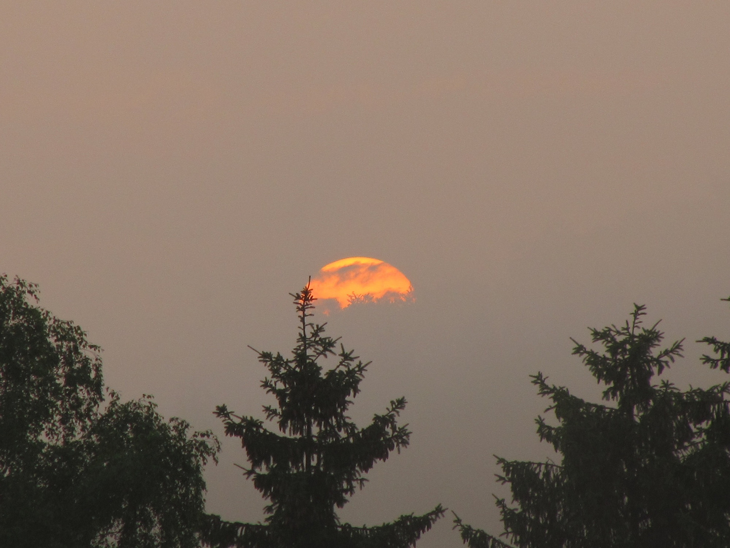 Sonnenuntergang bei Nebelwetter