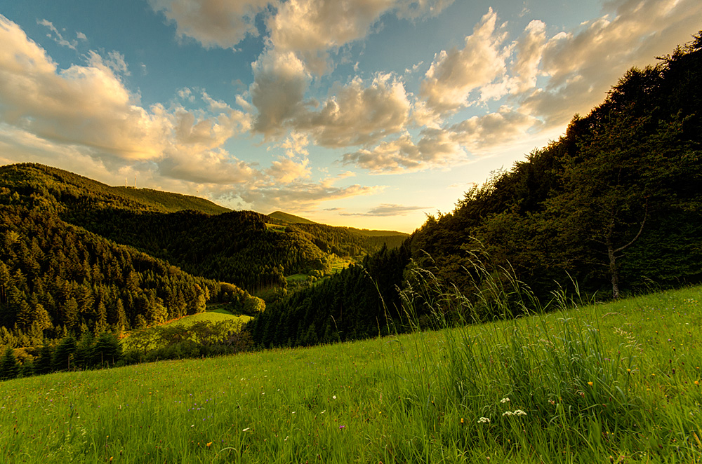 Sonnenuntergang bei Oberharmersbach