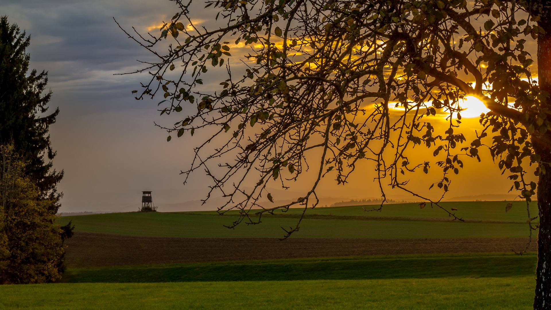 Sonnenuntergang bei Oberndorf / Pfullendorf Richtung Hegau