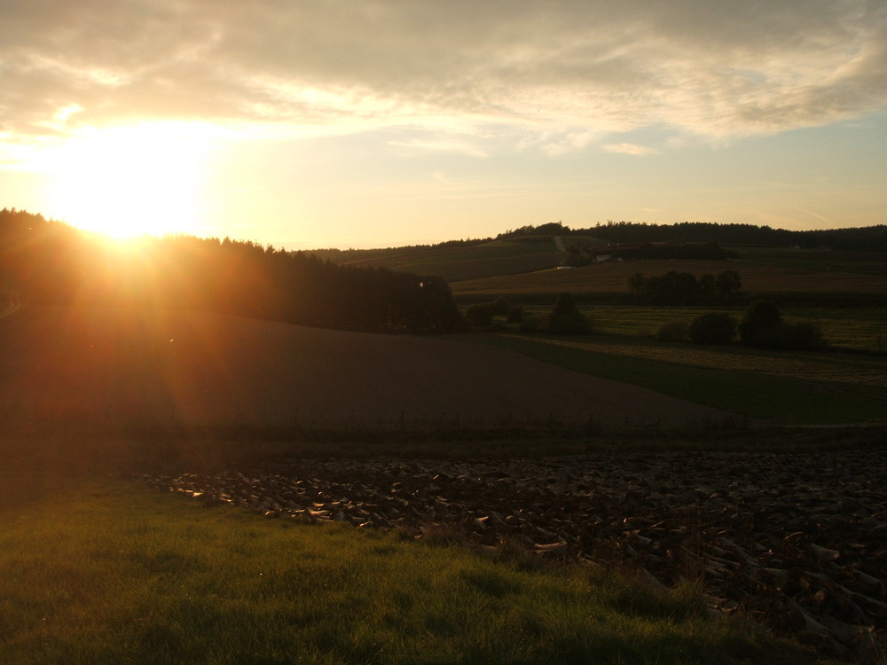 Sonnenuntergang bei Ottering