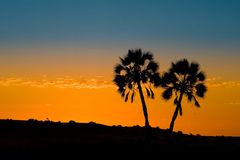 Sonnenuntergang bei Palmwag (Namibia)