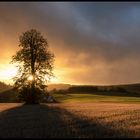 " Sonnenuntergang bei Räumlas Oberfranken "