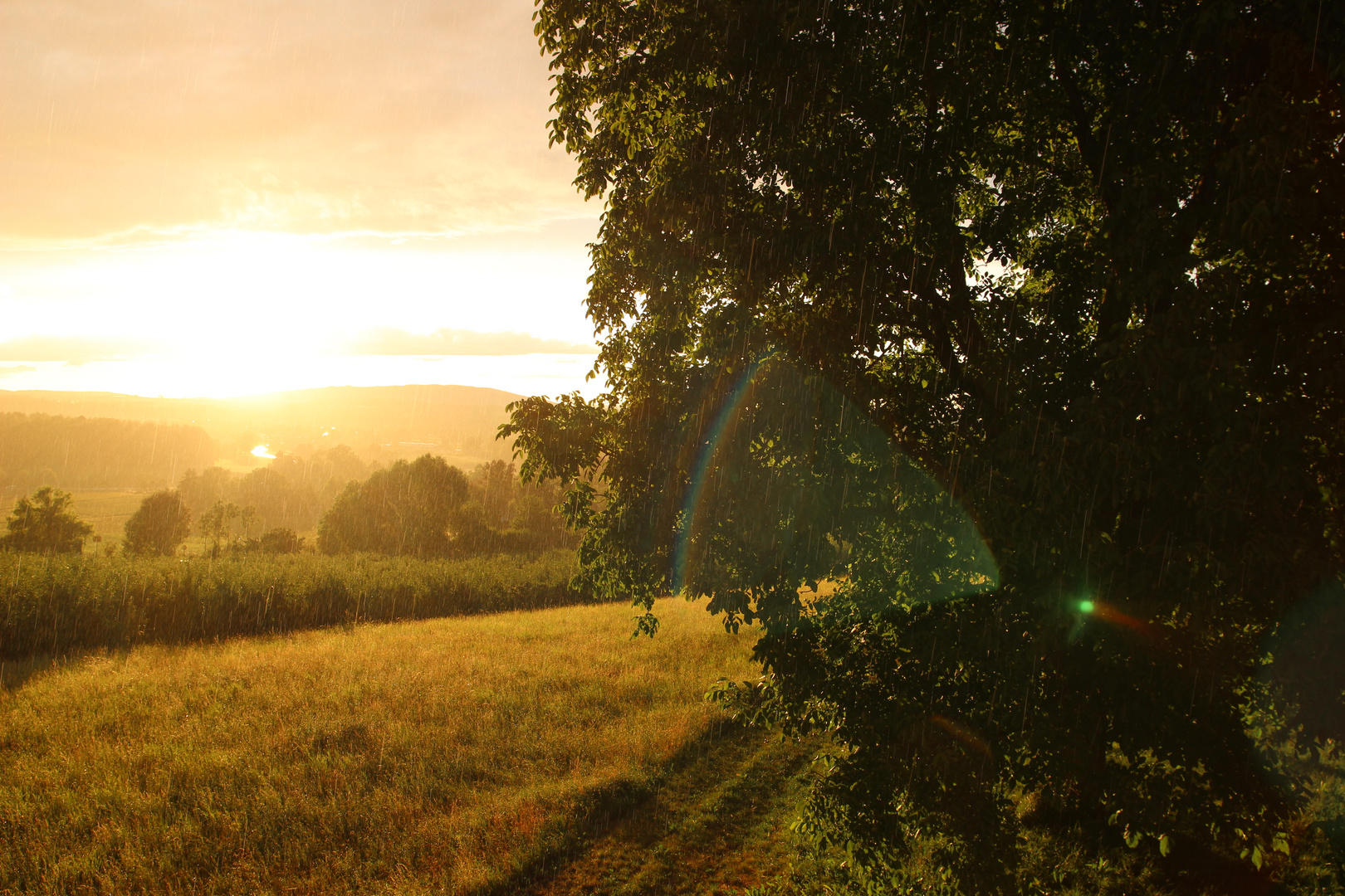 Sonnenuntergang bei Regen