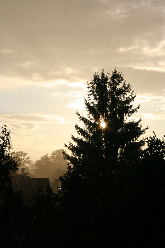 Sonnenuntergang bei Regen