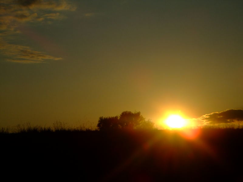 sonnenuntergang bei reibersdorf