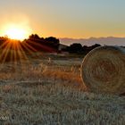 Sonnenuntergang bei Sineu