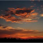 Sonnenuntergang bei Spreewiese