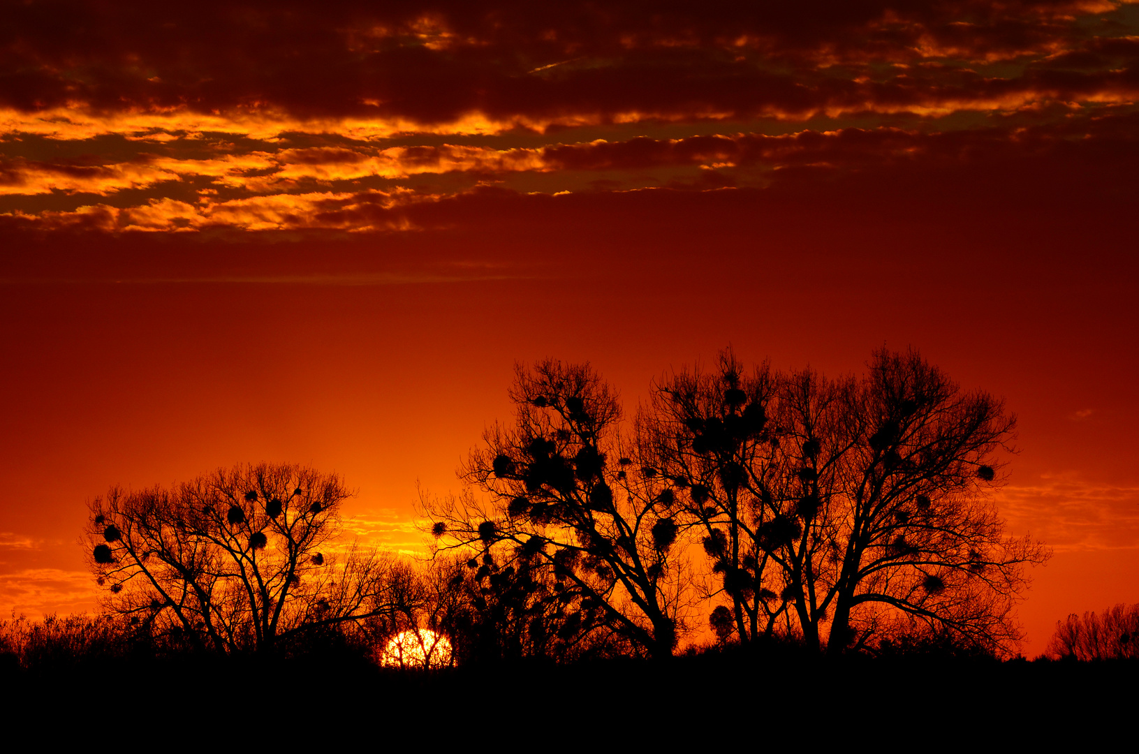 Sonnenuntergang bei Süddinker