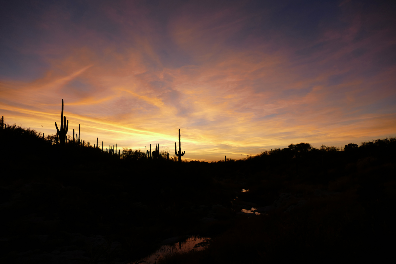 Sonnenuntergang bei Tucson