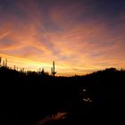 Sonnenuntergang bei Tucson