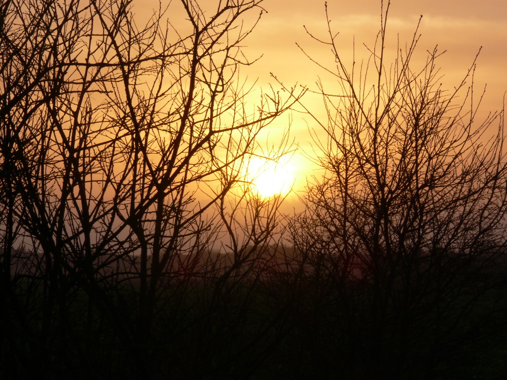 Sonnenuntergang bei Utersum 2 (JJ)