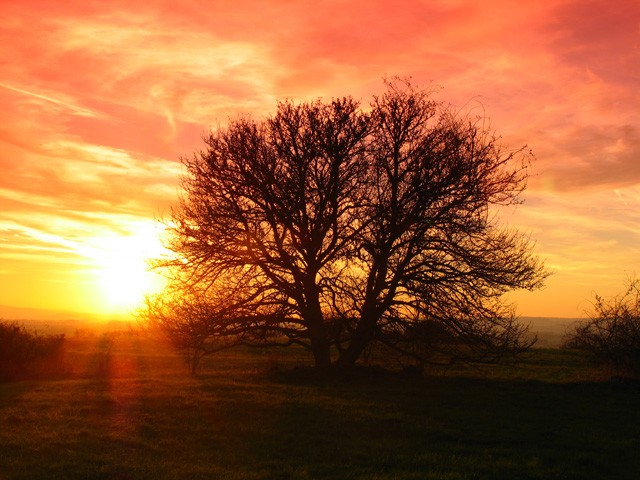 Sonnenuntergang bei Uthpe