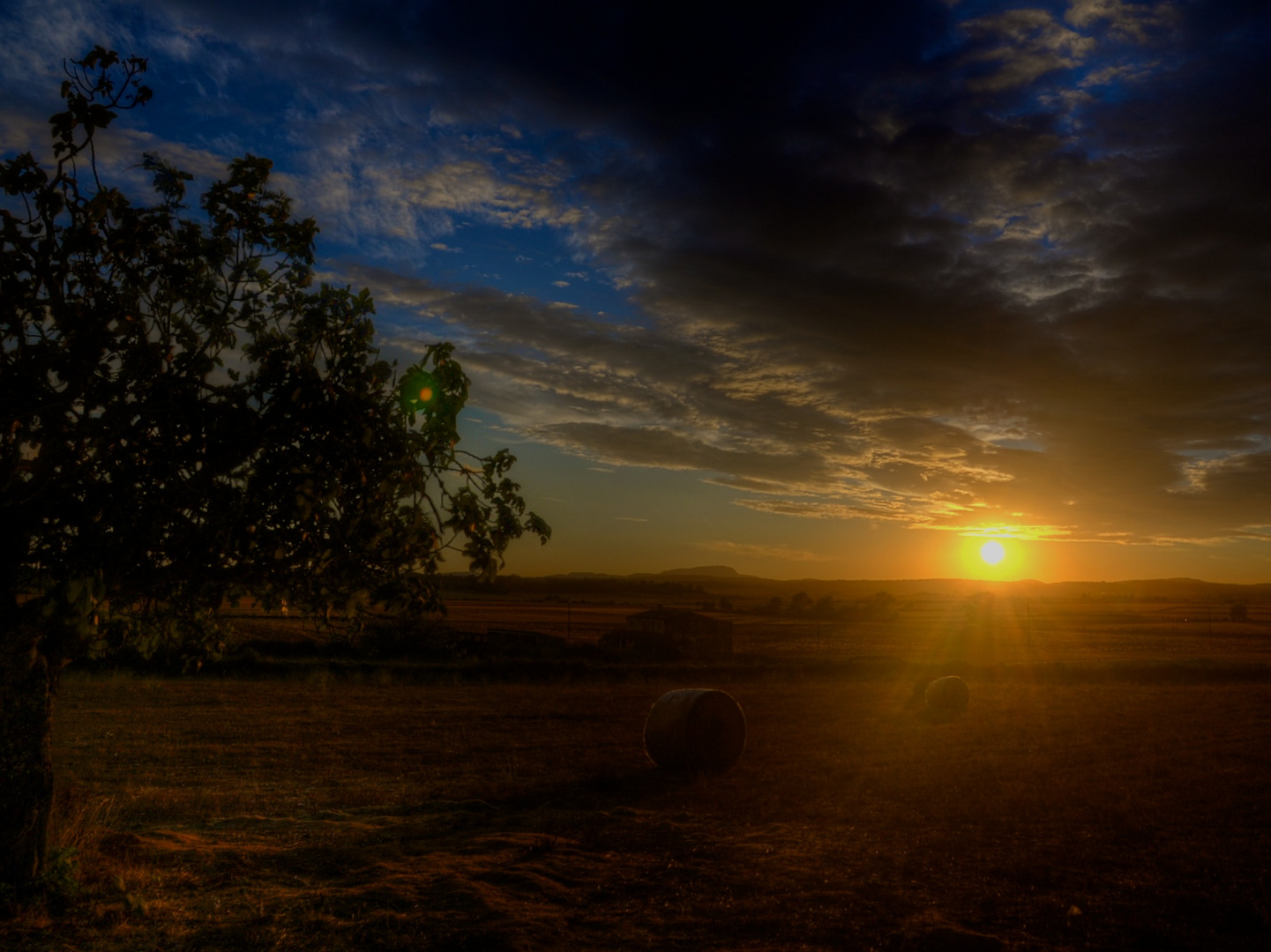 Sonnenuntergang bei Vilafranca de Bonany