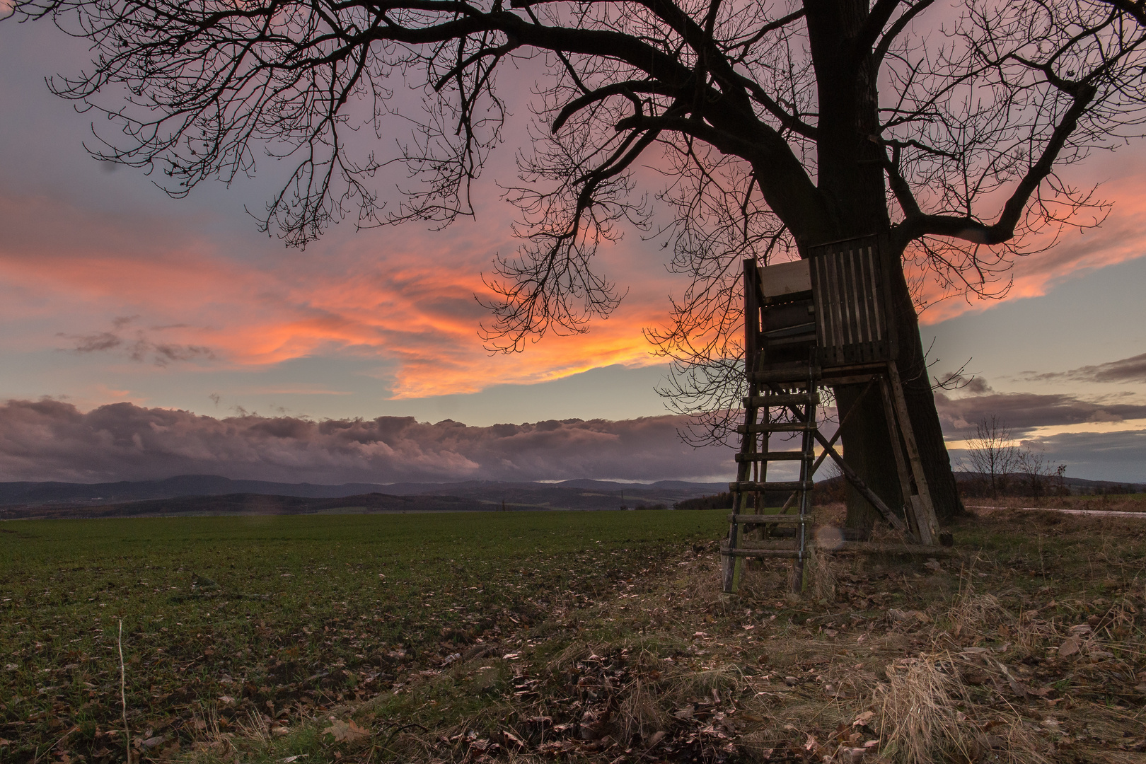 Sonnenuntergang bei Weingarten