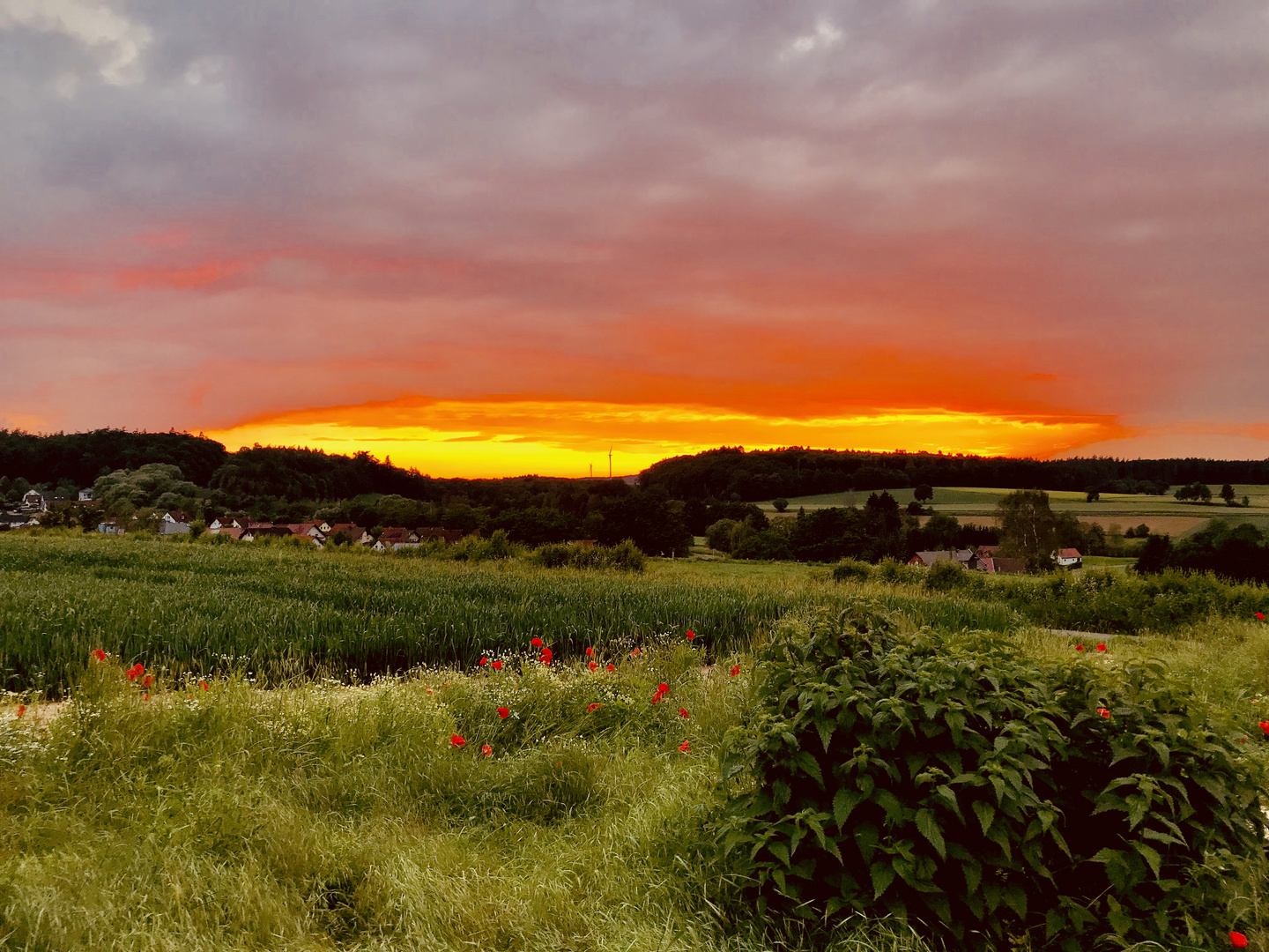 Sonnenuntergang bei Wetterburg