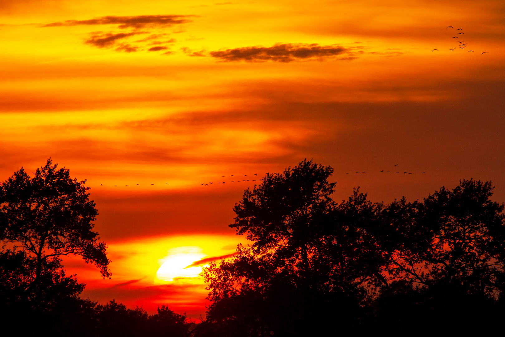 Sonnenuntergang bei Zingst 